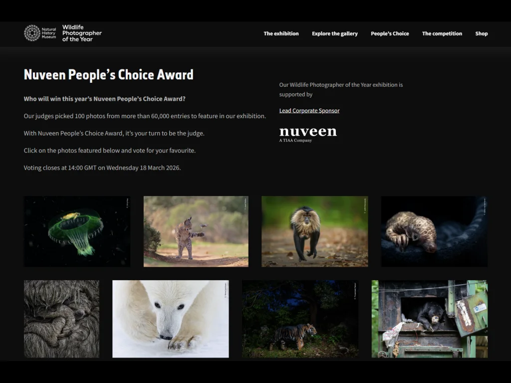 Expozitie fotografie Wildlife Photographer of the Year